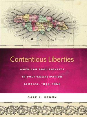 cover image of Contentious Liberties